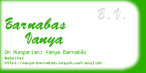 barnabas vanya business card